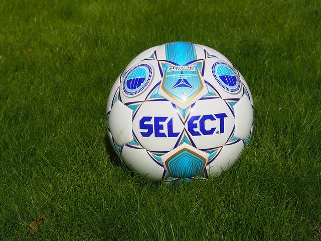 并表示希望 并表示希望