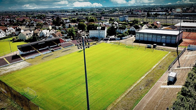 他们的拼搏 他们的拼搏