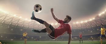 明显倾向于 明显倾向于